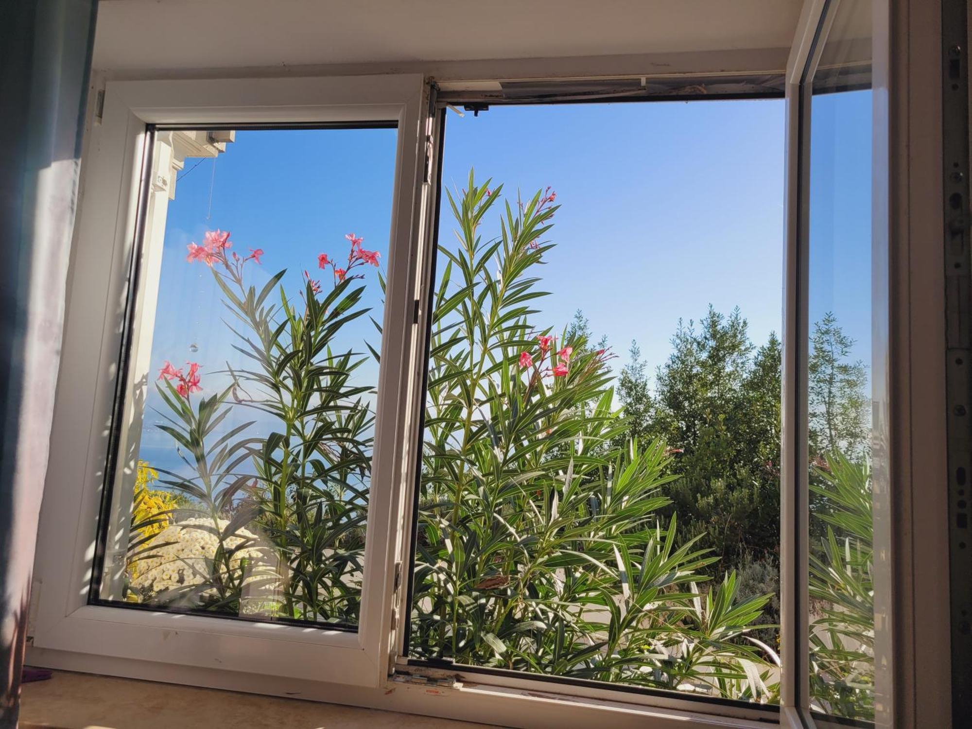Apartments Chiara Mit Meerblick Und Pool Und Jacuzzi 洛夫兰 外观 照片