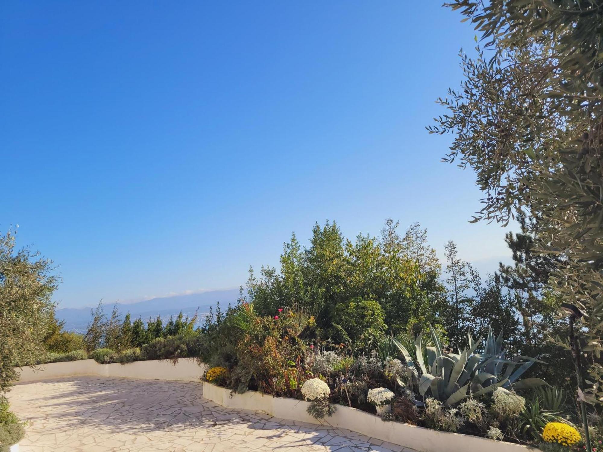 Apartments Chiara Mit Meerblick Und Pool Und Jacuzzi 洛夫兰 外观 照片