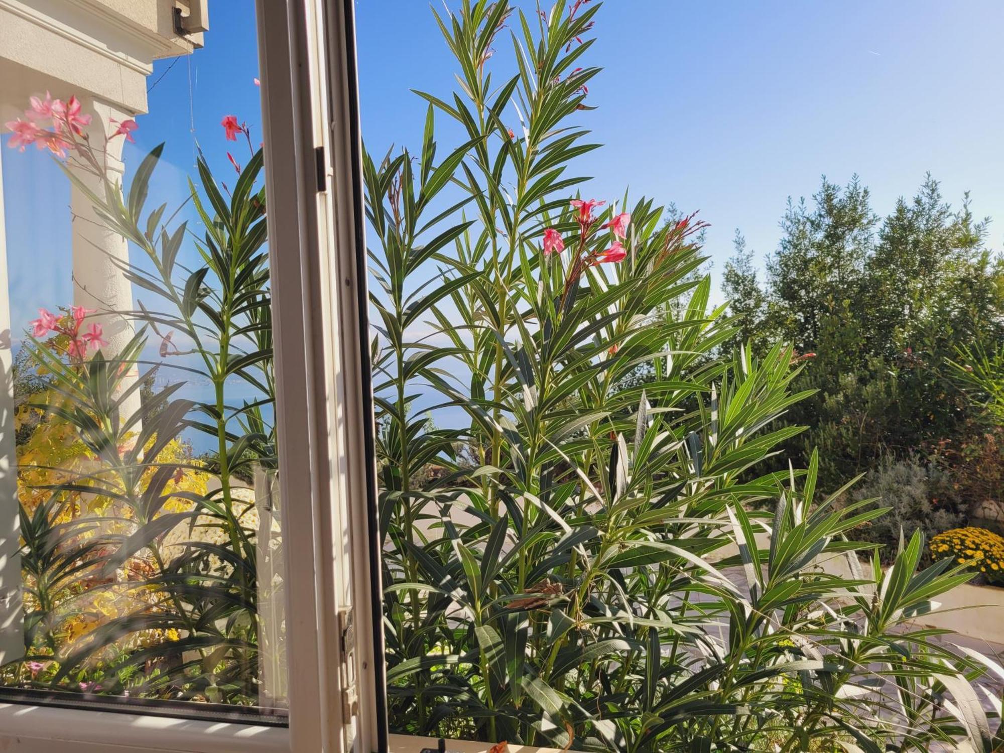 Apartments Chiara Mit Meerblick Und Pool Und Jacuzzi 洛夫兰 外观 照片