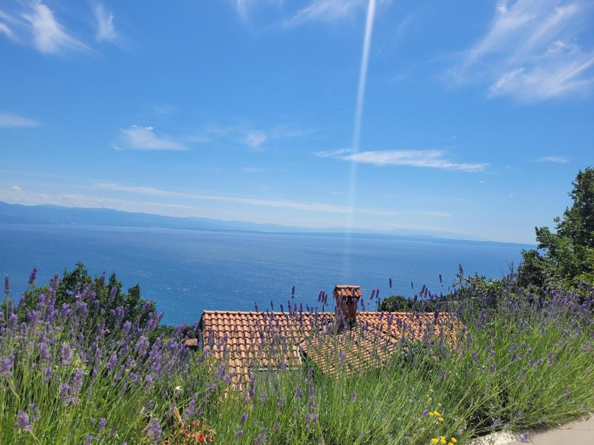 Apartments Chiara Mit Meerblick Und Pool Und Jacuzzi 洛夫兰 外观 照片